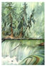 Swallow Falls